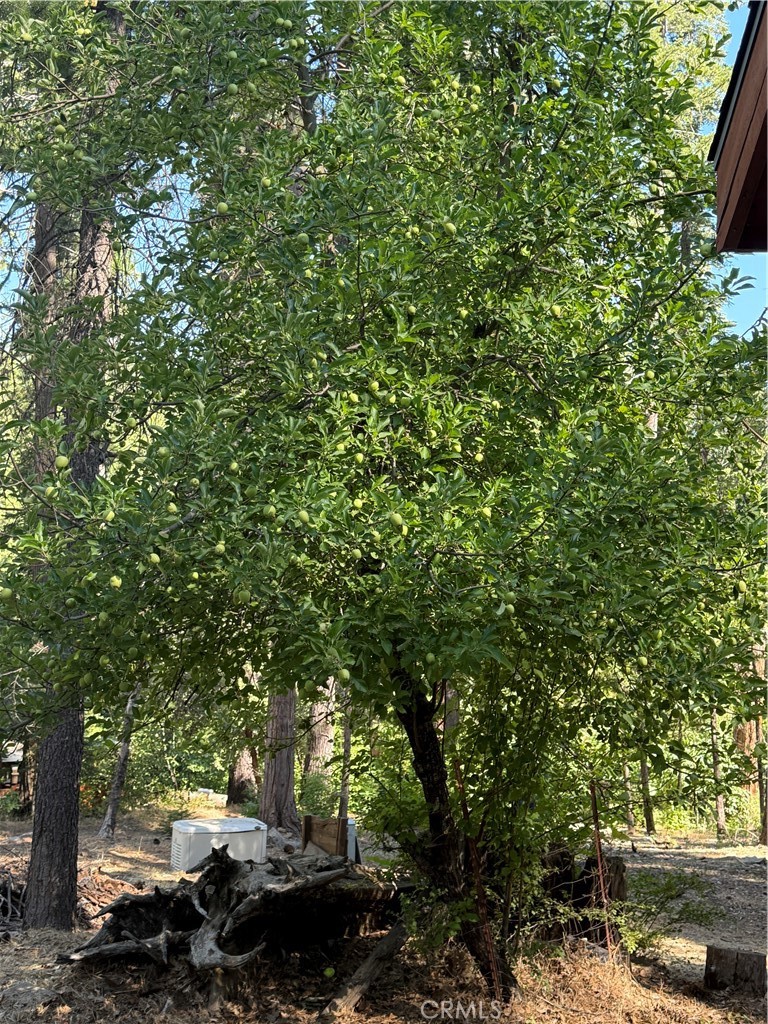 3502 Comet Mine, Mariposa, CA 95338