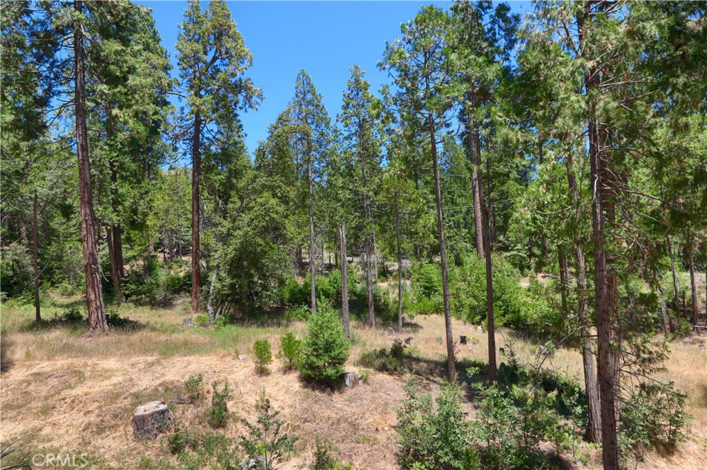 7190 Hites Cove Rd, Mariposa, CA 95338