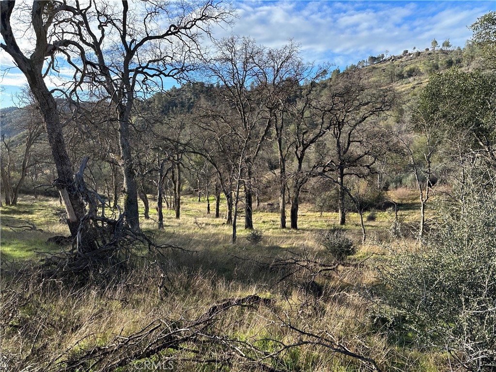 3896 B State Highway 140, Mariposa, CA 95338