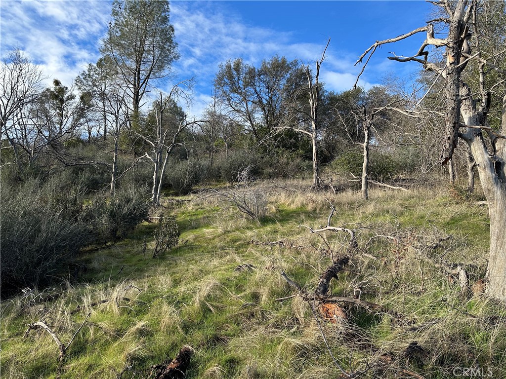 3896 B State Highway 140, Mariposa, CA 95338