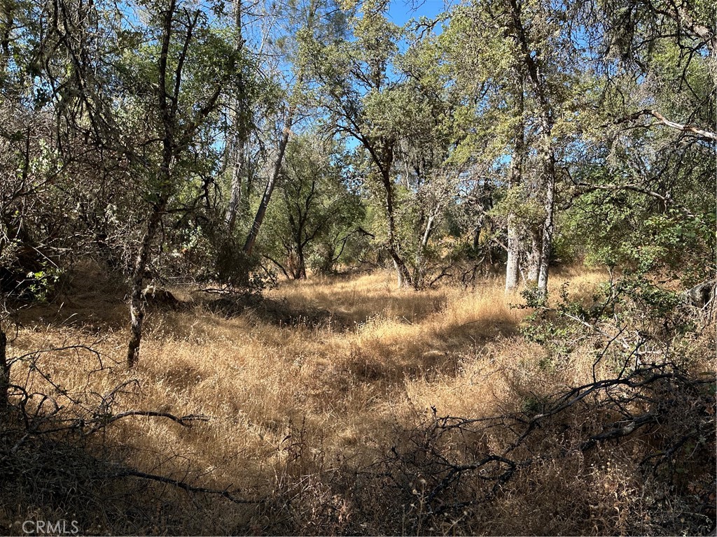 4275 Ashworth Rd, Mariposa, CA 95338