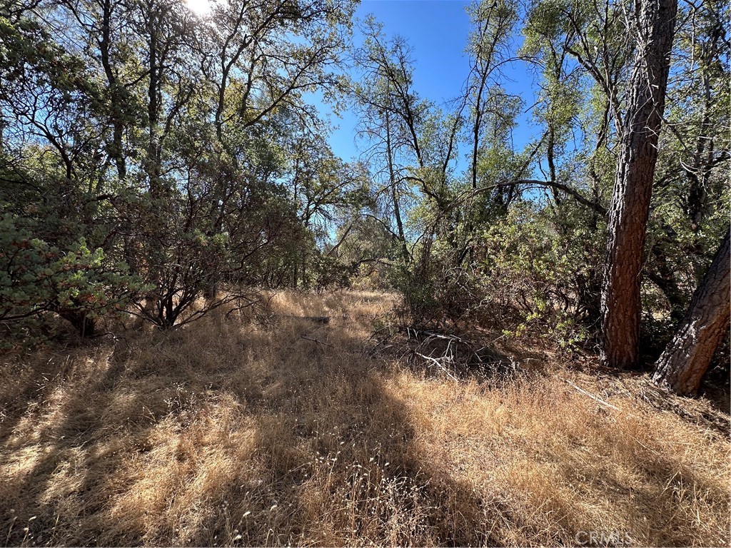 4275 Ashworth Rd, Mariposa, CA 95338