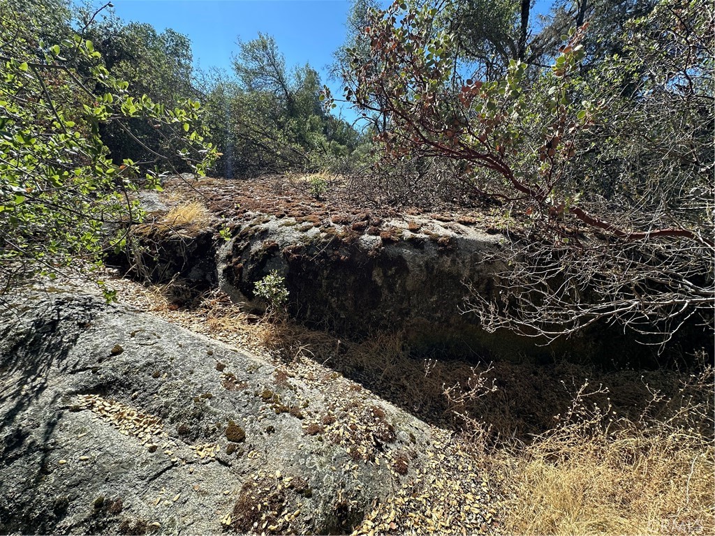 4275 Ashworth Rd, Mariposa, CA 95338