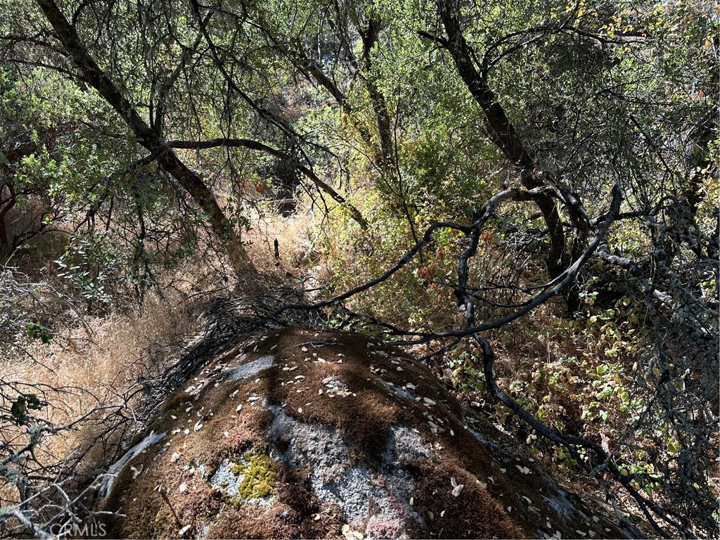 4275 Ashworth Rd, Mariposa, CA 95338