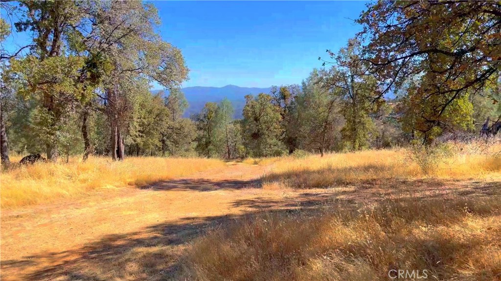 5341 Paddy Hill Rd, Mariposa, CA 95338