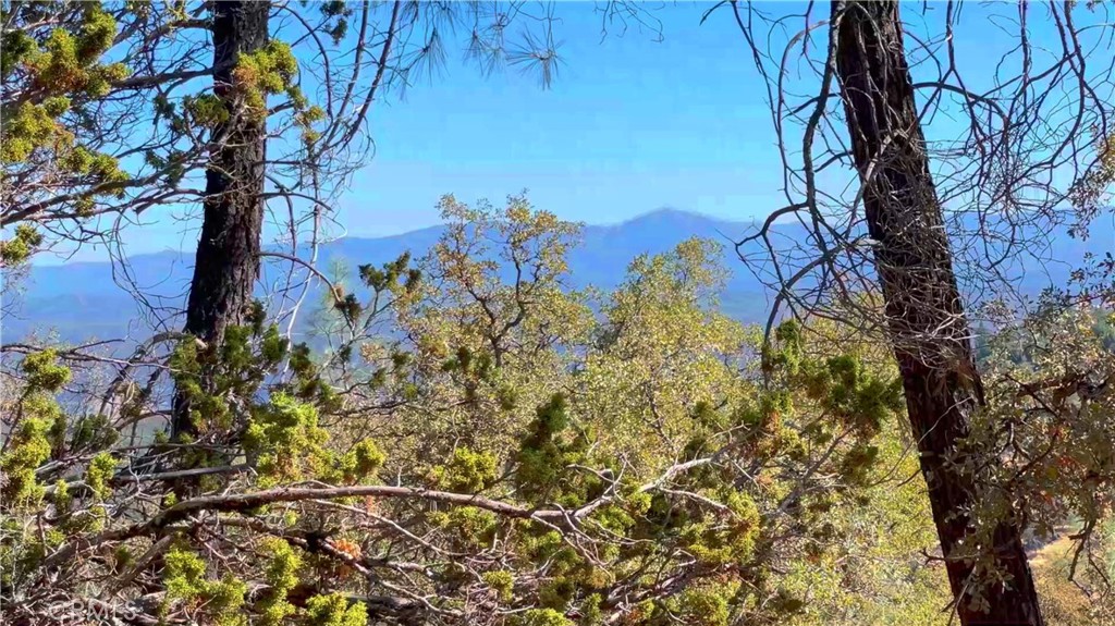 5341 Paddy Hill Rd, Mariposa, CA 95338