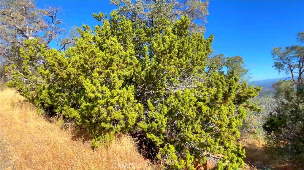 5341 Paddy Hill Rd, Mariposa, CA 95338