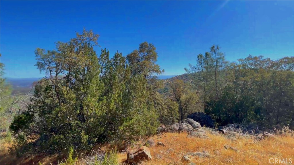 5341 Paddy Hill Rd, Mariposa, CA 95338