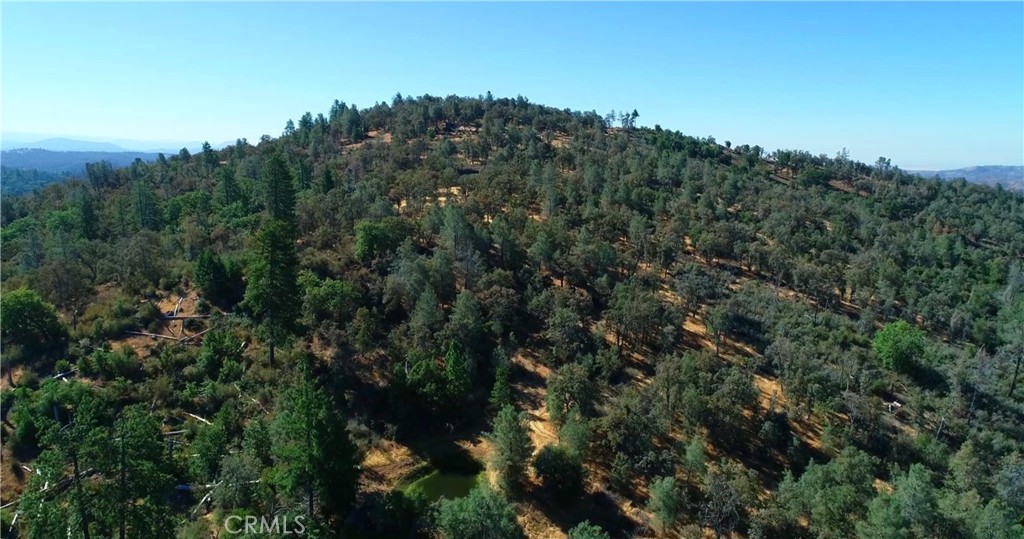 5341 Paddy Hill Rd, Mariposa, CA 95338