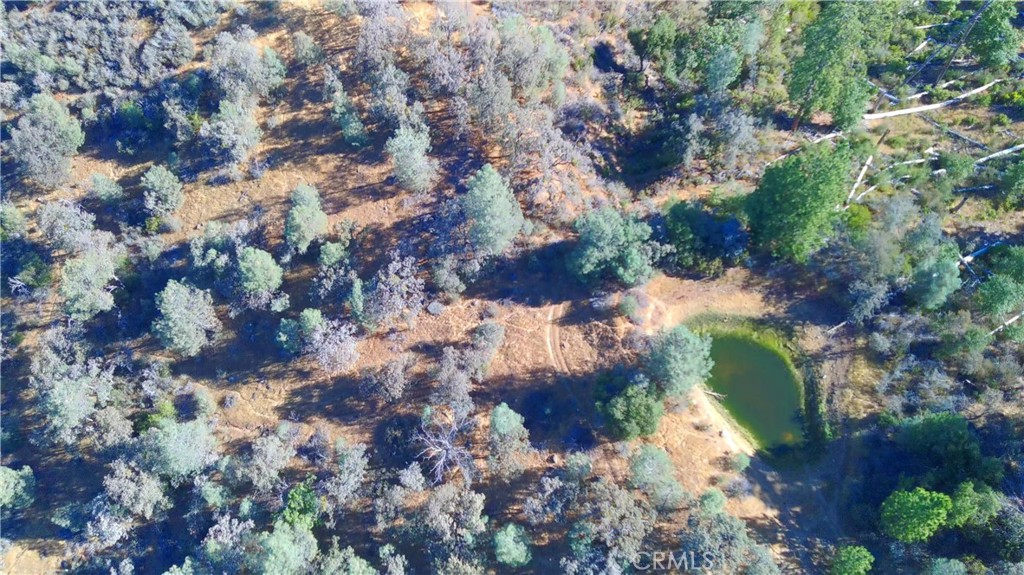 5341 Paddy Hill Rd, Mariposa, CA 95338