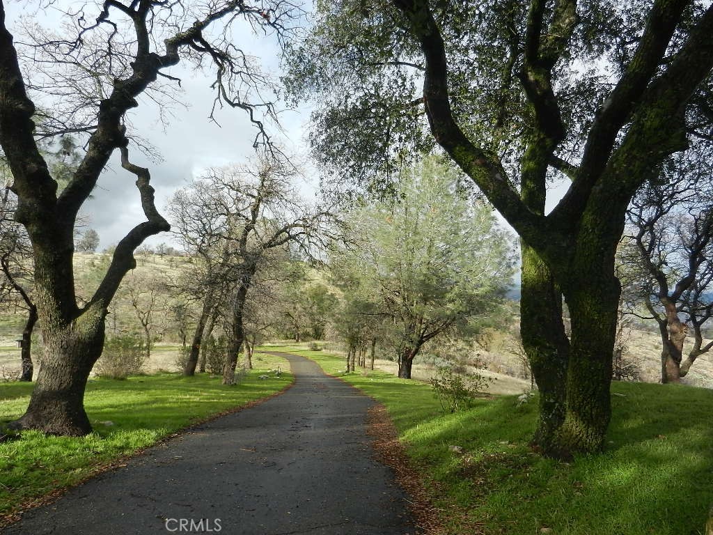 3698 Guadalupe Fire Rd, Catheys Valley, CA 95306