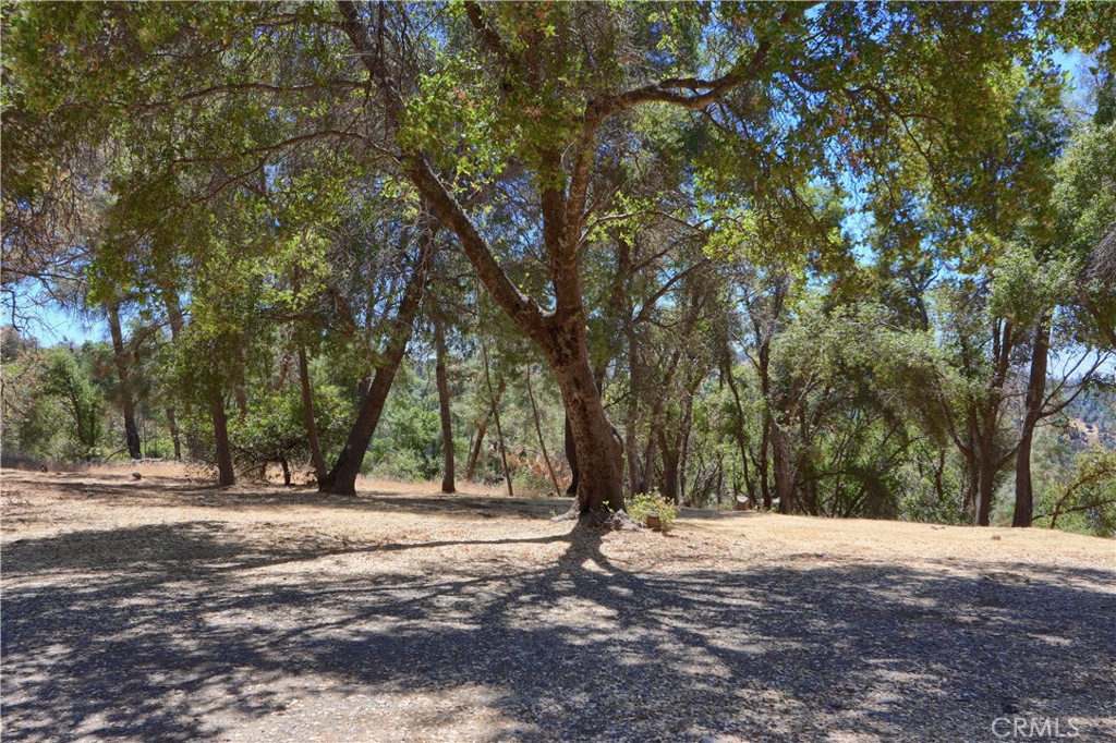 5857 Allred Rd, Mariposa, CA 95338