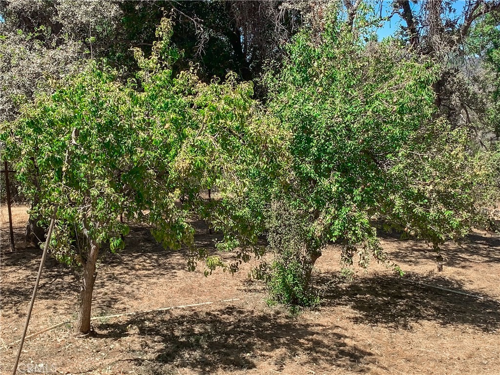 5857 Allred Rd, Mariposa, CA 95338