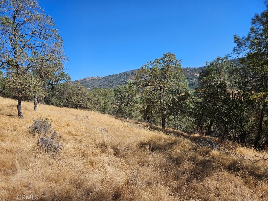 5640 Blue Oak Ridge Rd, Mariposa, CA 95338
