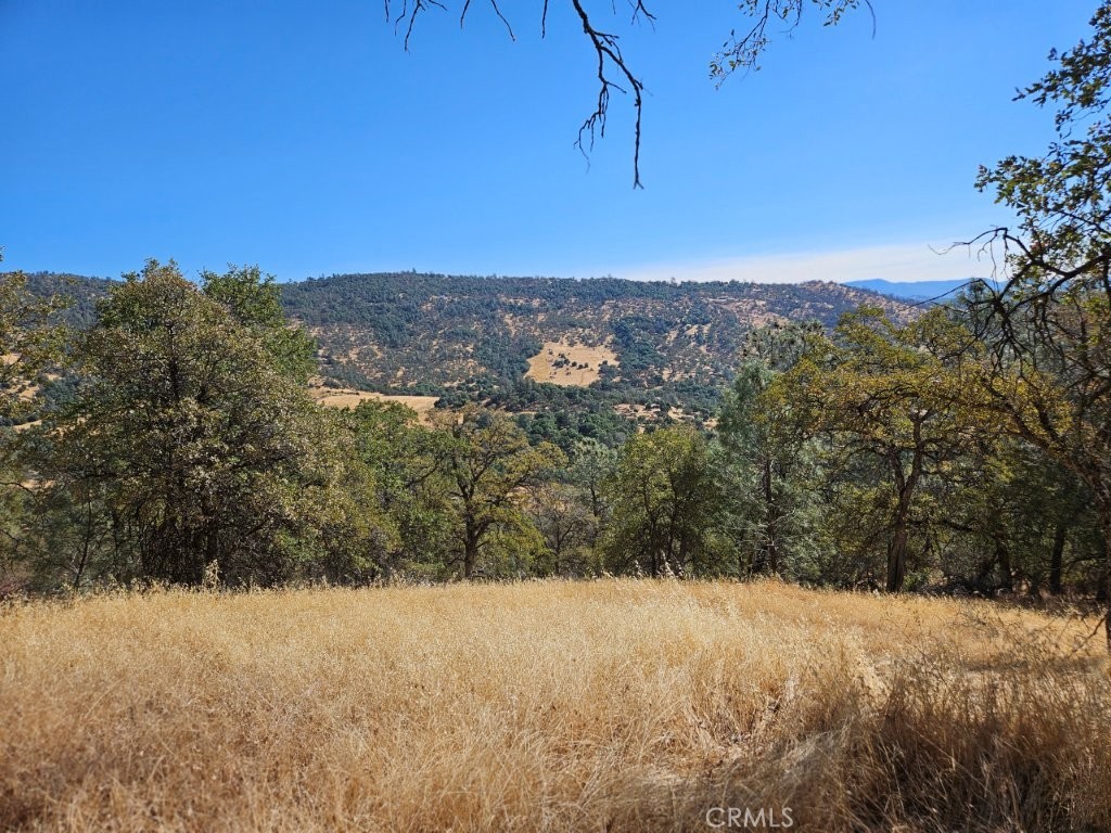 5640 Blue Oak Ridge Rd, Mariposa, CA 95338