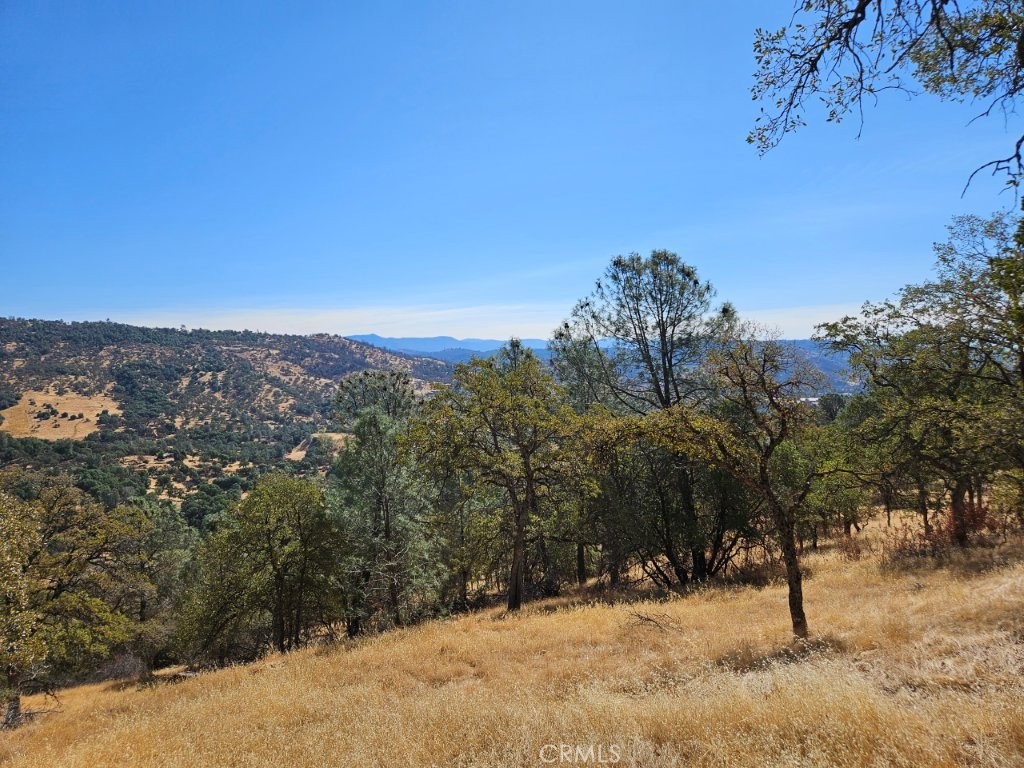 5640 Blue Oak Ridge Rd, Mariposa, CA 95338