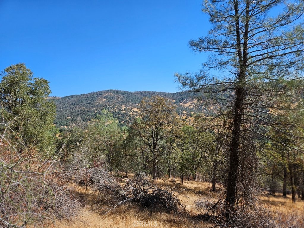 5640 Blue Oak Ridge Rd, Mariposa, CA 95338