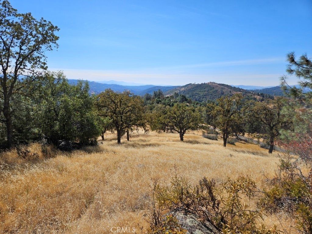 5640 Blue Oak Ridge Rd, Mariposa, CA 95338
