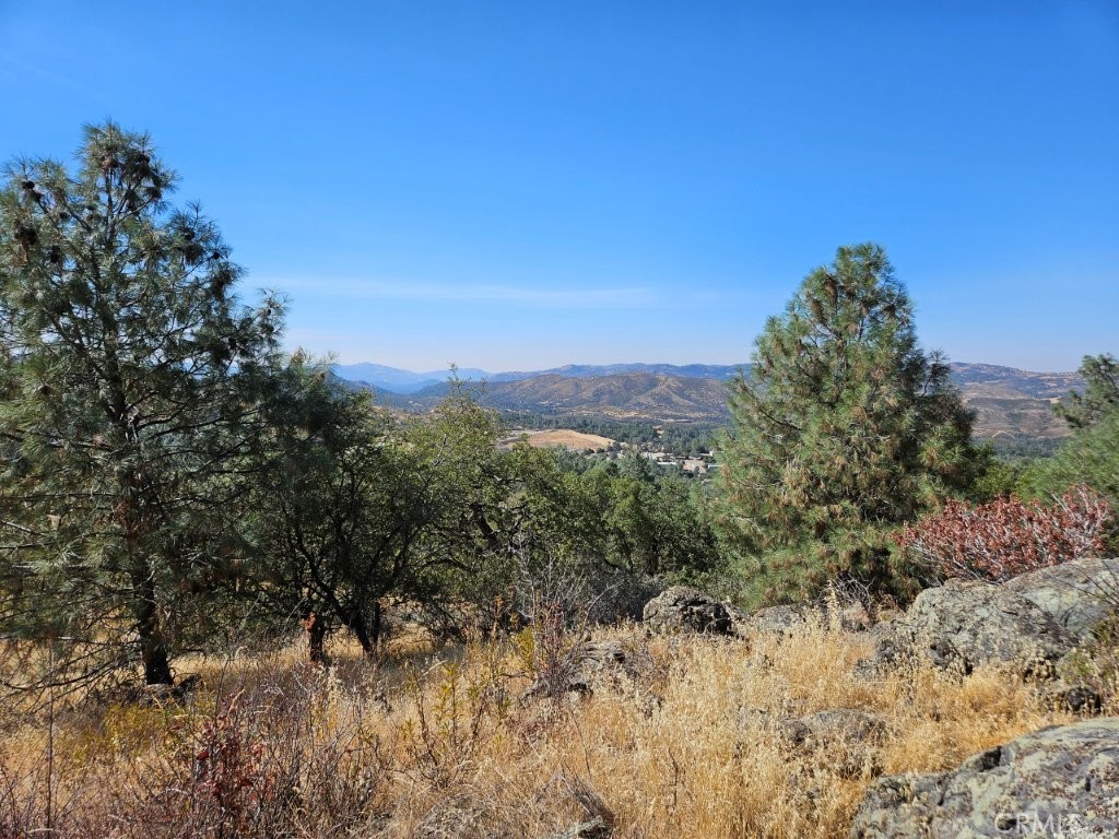 5640 Blue Oak Ridge Rd, Mariposa, CA 95338