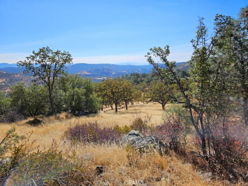 5640 Blue Oak Ridge Rd, Mariposa, CA 95338