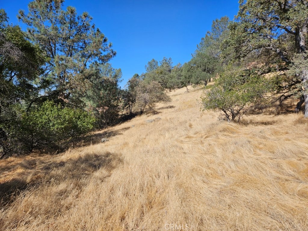 5640 Blue Oak Ridge Rd, Mariposa, CA 95338