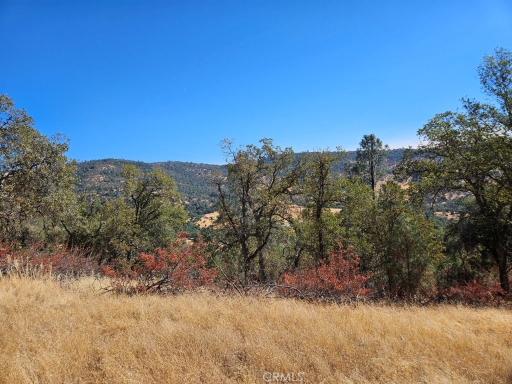 5640 Blue Oak Ridge Rd, Mariposa, CA 95338