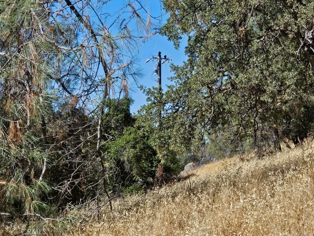 5640 Blue Oak Ridge Rd, Mariposa, CA 95338