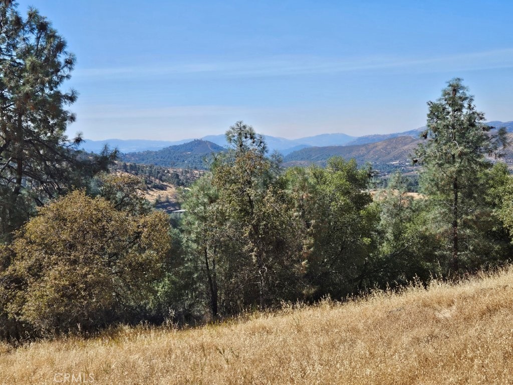 5640 Blue Oak Ridge Rd, Mariposa, CA 95338