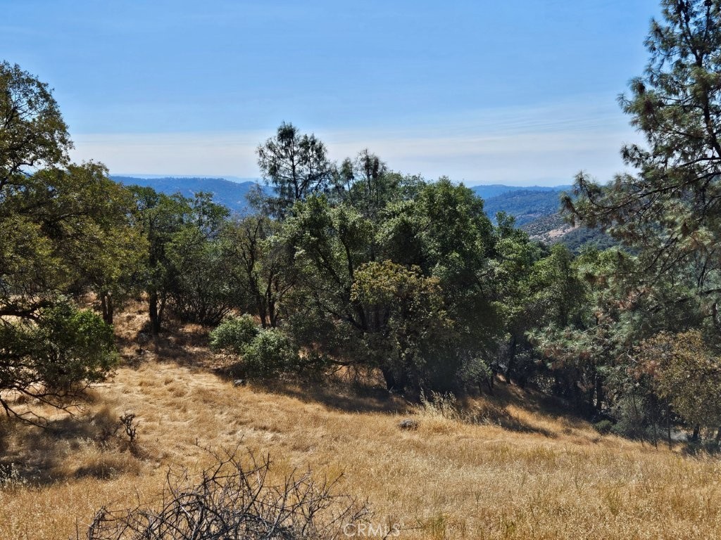 5640 Blue Oak Ridge Rd, Mariposa, CA 95338