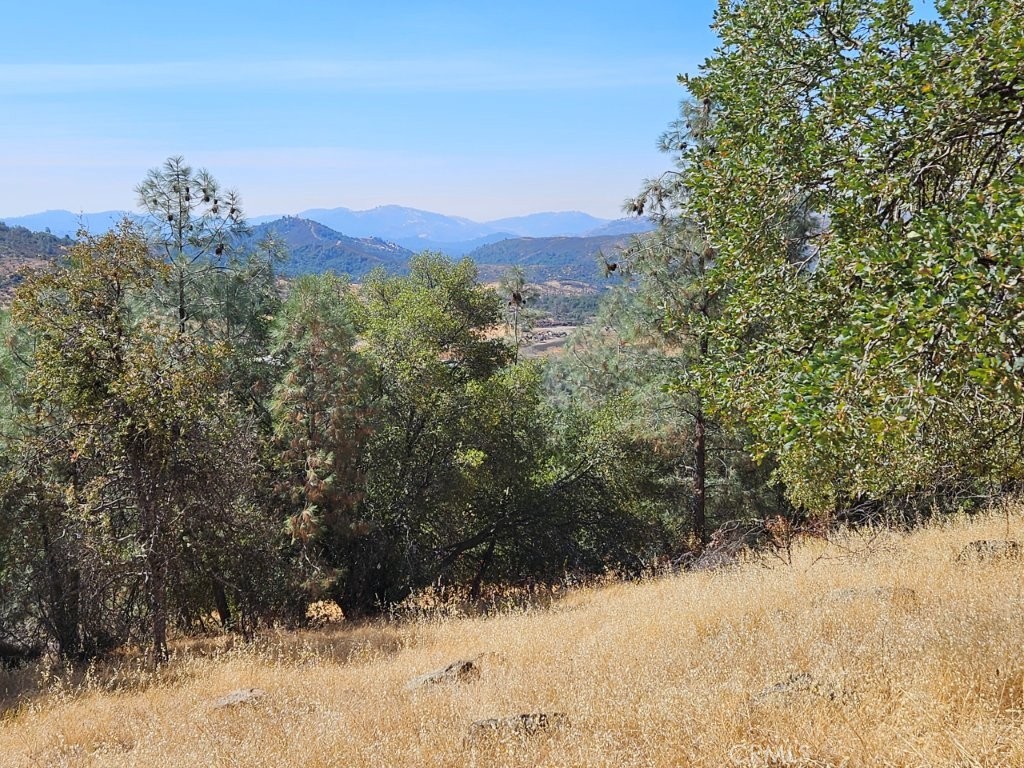 5640 Blue Oak Ridge Rd, Mariposa, CA 95338