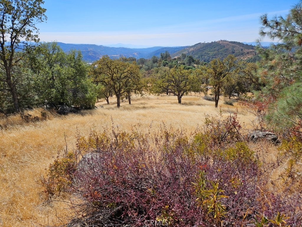 5640 Blue Oak Ridge Rd, Mariposa, CA 95338