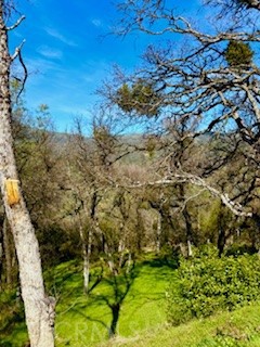 5222 dOGTOWN, Coulterville, CA 95311