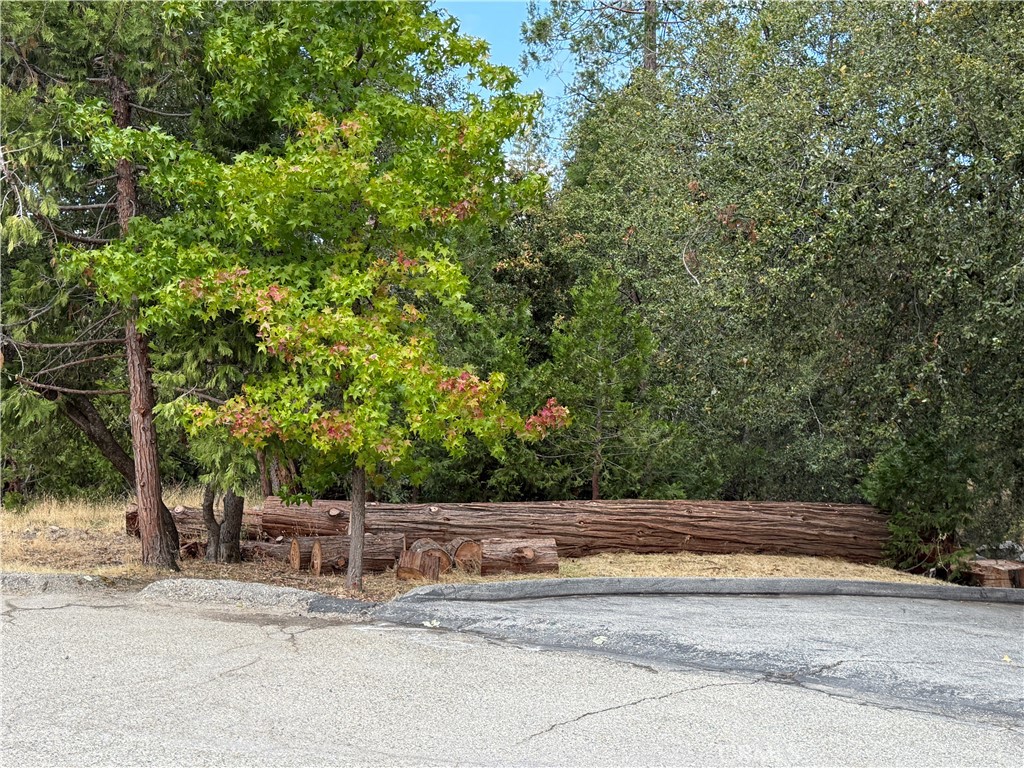 2407 Anglers Ct, Mariposa, CA 95338