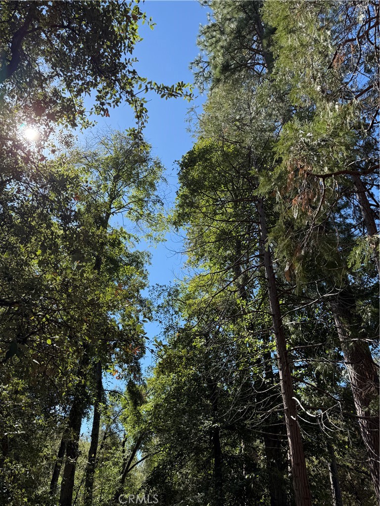 2407 Anglers Ct, Mariposa, CA 95338