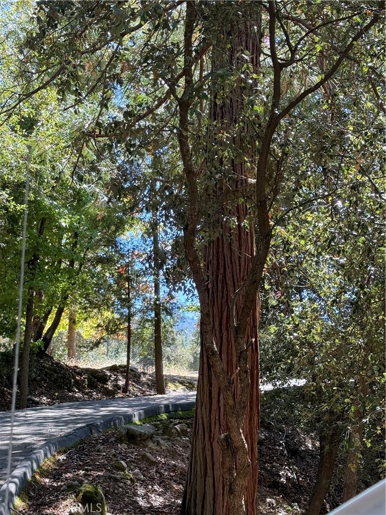 2407 Anglers Ct, Mariposa, CA 95338