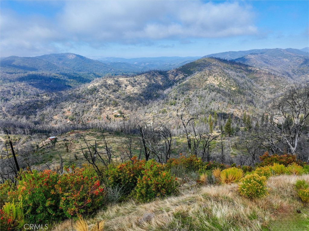 4536 Buckingham Mountain, Mariposa, CA 95338