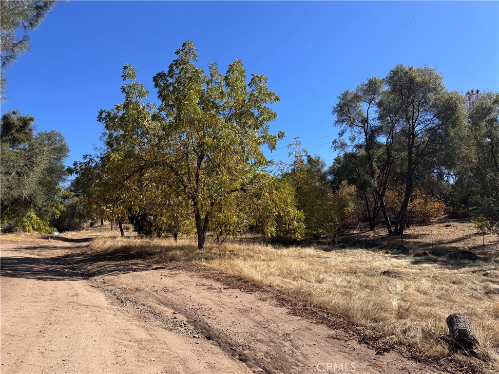 4582 Ashworth, Mariposa, CA 95338