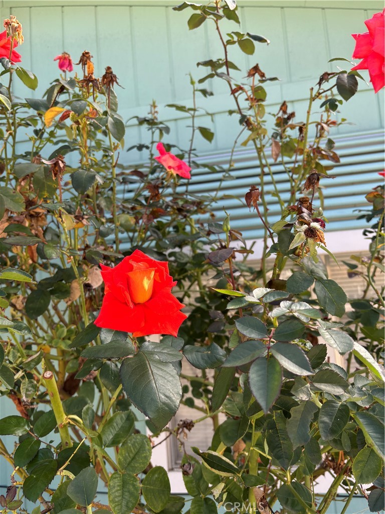 5277 N Highway 49 #79, Mariposa, CA 95338