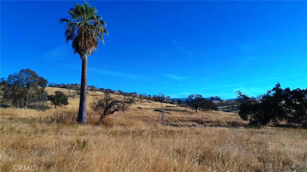 6147 Indian Gulch, Mariposa, CA 95338