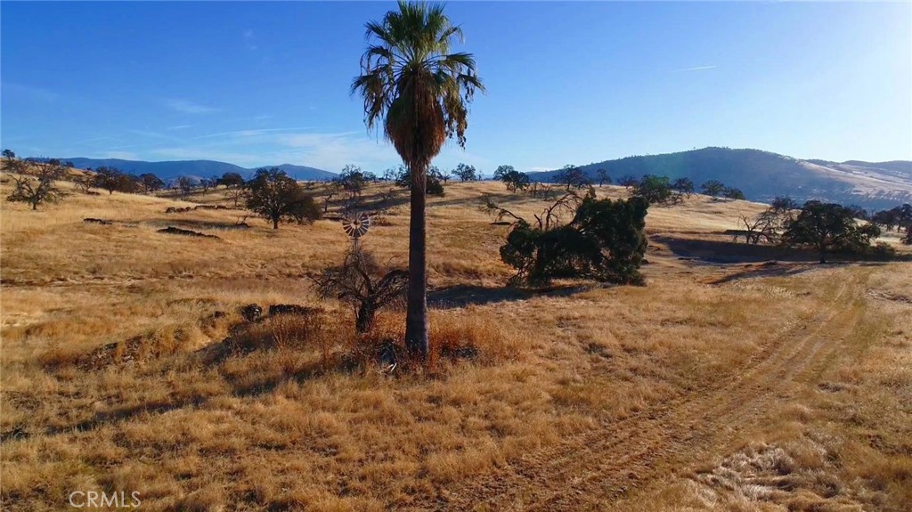 6147 Indian Gulch, Mariposa, CA 95338