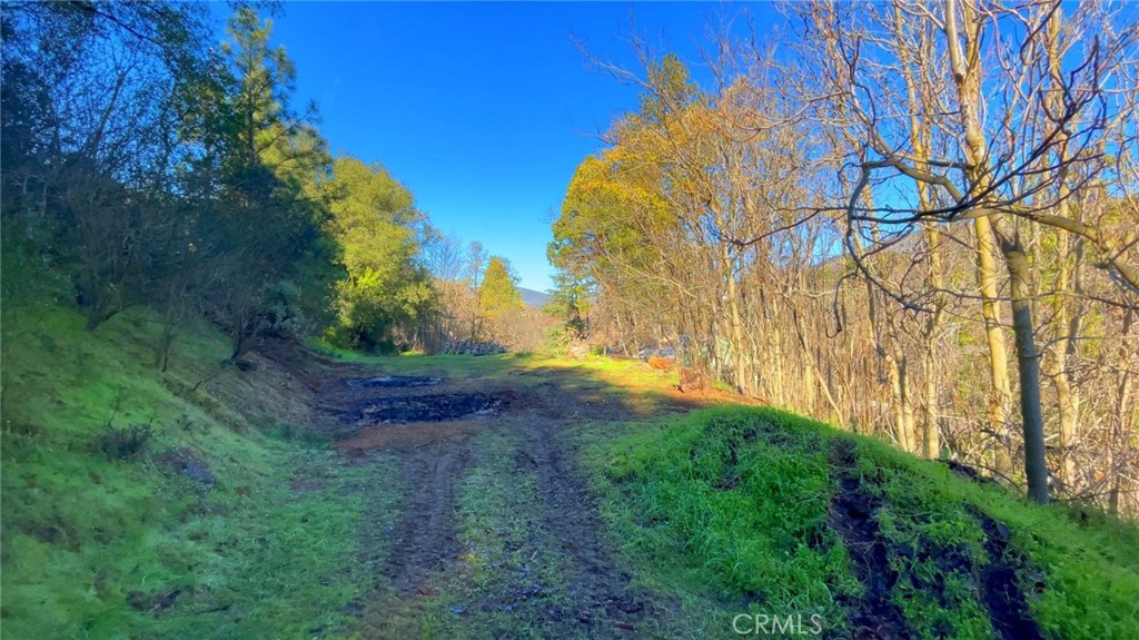 4975 Miller Rd, Mariposa, CA 95338