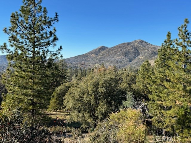 5830 Half Dome, Mariposa, CA 95338