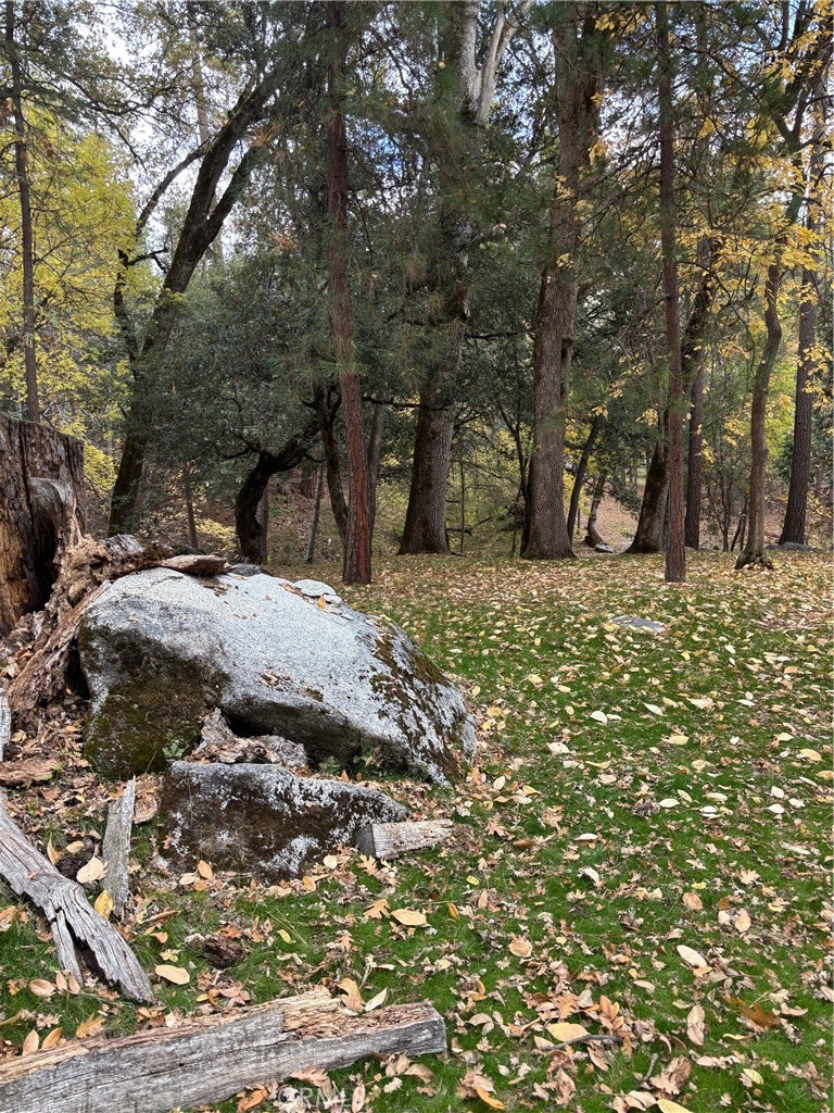 2458 Coachman, Mariposa, CA 95338