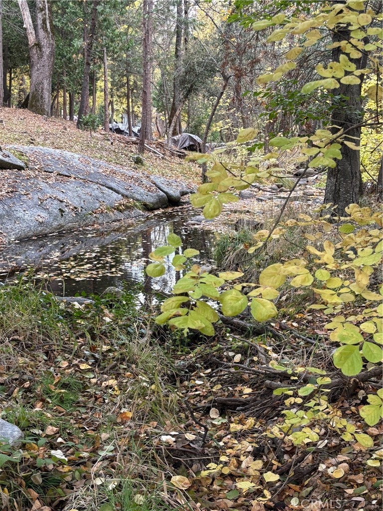 2458 Coachman, Mariposa, CA 95338