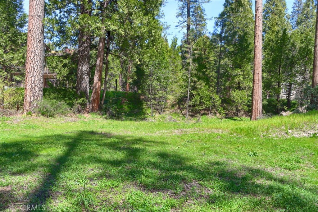 0 Dogwood Creek Dr, Bass Lake, CA 93604