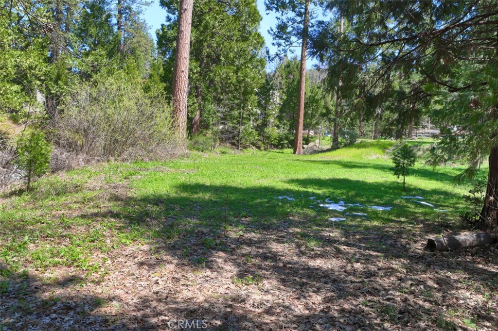 0 Dogwood Creek Dr, Bass Lake, CA 93604