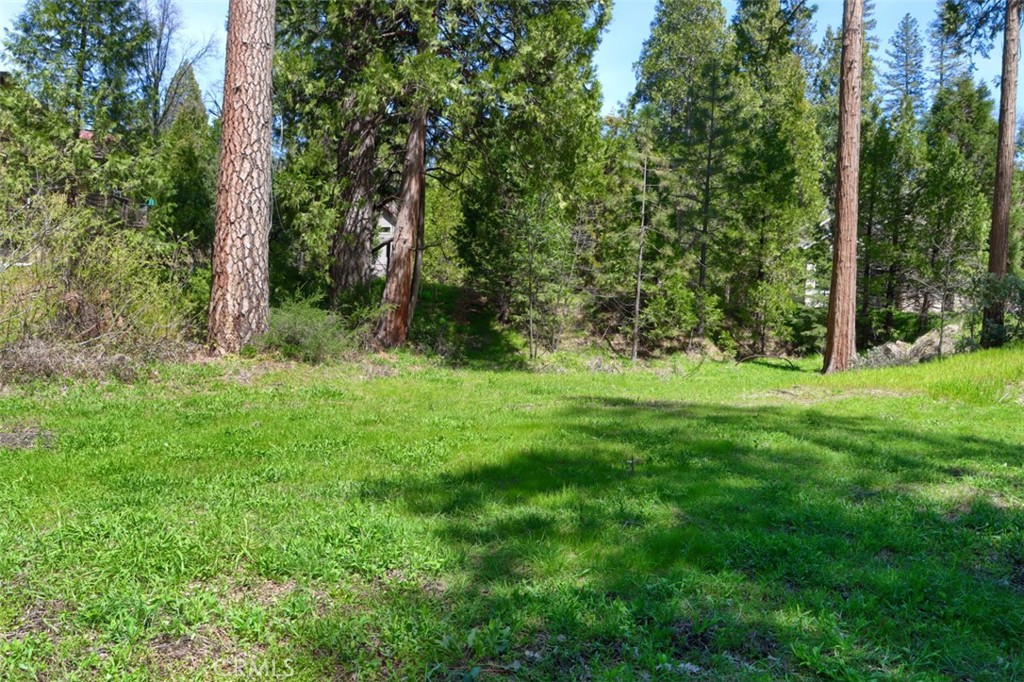 0 Dogwood Creek Dr, Bass Lake, CA 93604