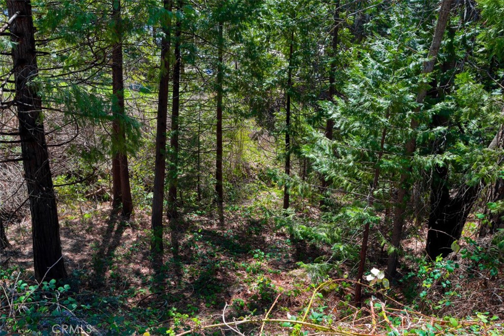 0 Dogwood Creek Dr, Bass Lake, CA 93604