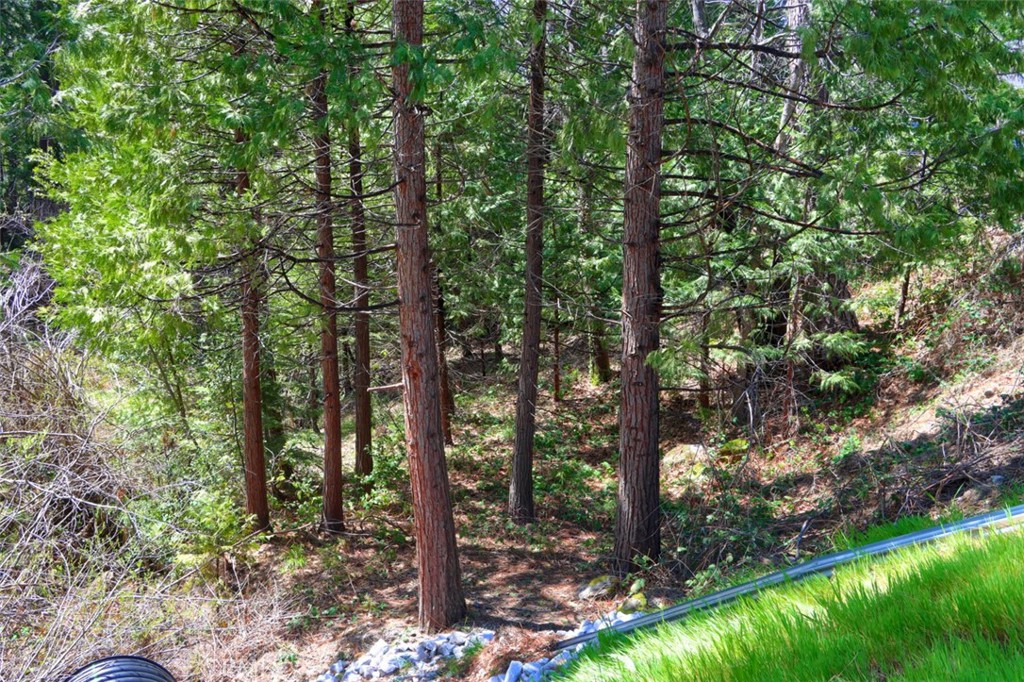 0 Dogwood Creek Dr, Bass Lake, CA 93604