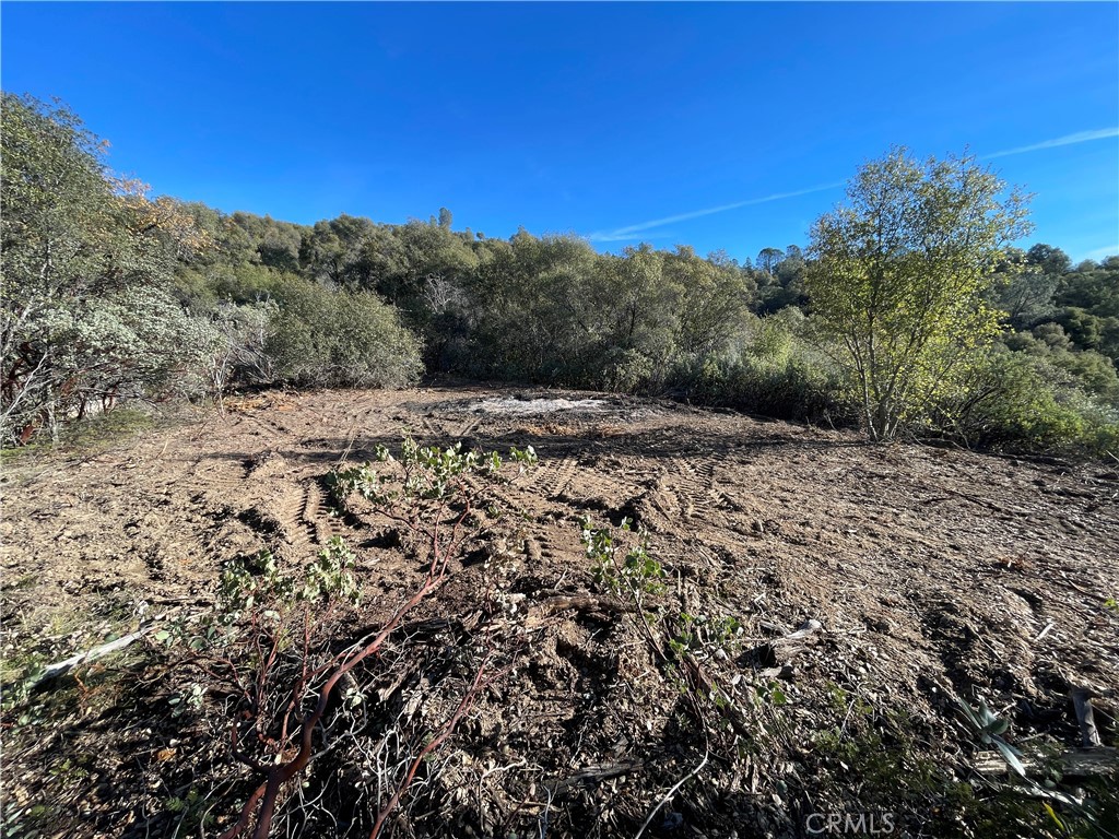 20 Harris Cutoff Rd, Mariposa, CA 95338